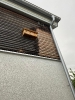 Bilder_31